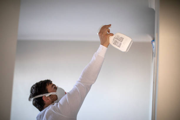 Best Mold Damage Repair  in Homerville, GA