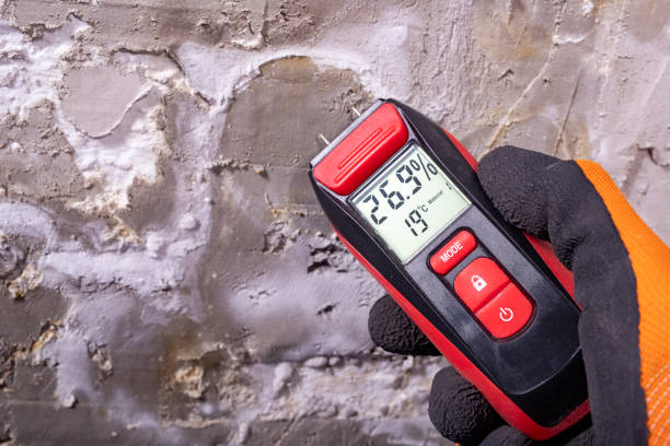 Best Home Mold Removal  in Homerville, GA