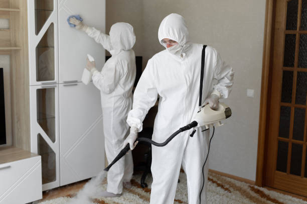 Best Local Mold Removal Service  in Homerville, GA