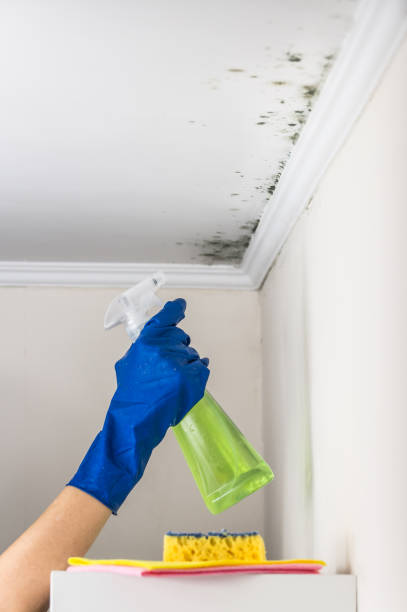 Water Damage Restoration in Homerville, GA